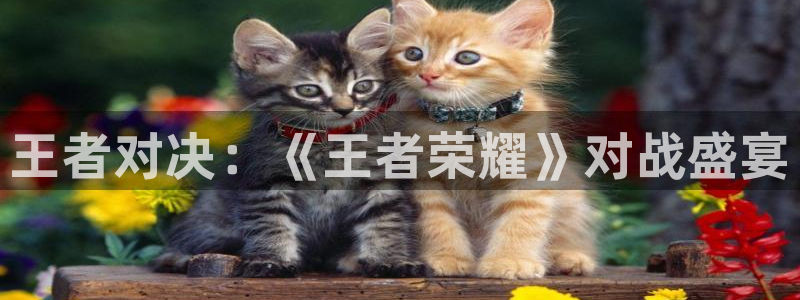 优贝娱乐Ii