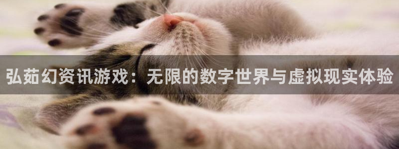 优贝娱乐4招商：弘茹幻资讯游戏：无限的数字世界与虚拟现实体验