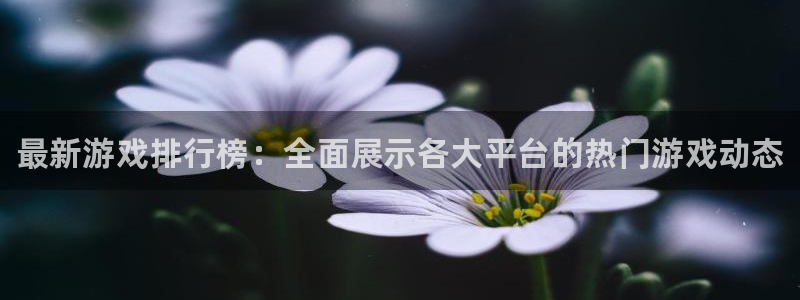 优贝娱乐网页版地址：最新游戏排行榜：全面展示各大平台的热门游