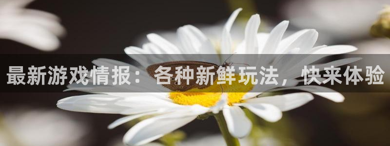 优贝娱乐app下载|下载地址：最新游戏情报：各种新鲜玩法，快
