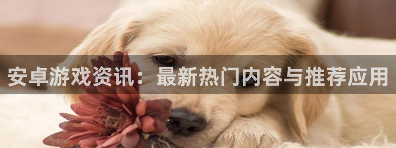 优贝娱乐科技：安卓游戏资讯：最新热门内容与推荐应用