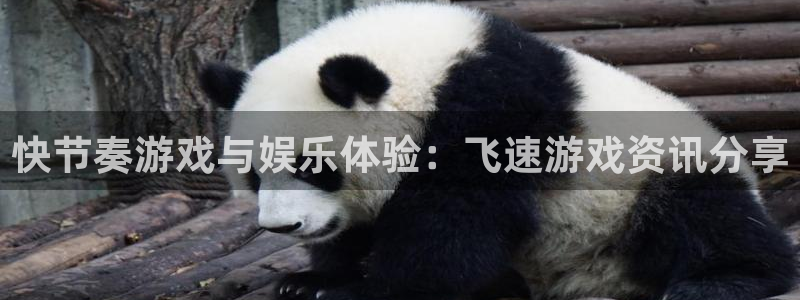 优贝娱乐主管：快节奏游戏与娱乐体验：飞速游戏资讯分享